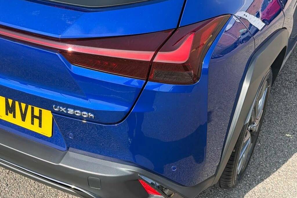Lexus UX 300E 72.8Kwh Premium Plus Grey #21