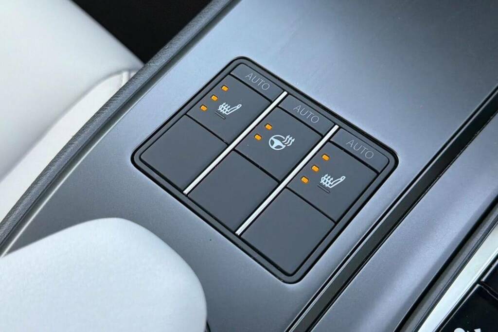 Lexus UX 300E 72.8Kwh Premium Plus Grey #30