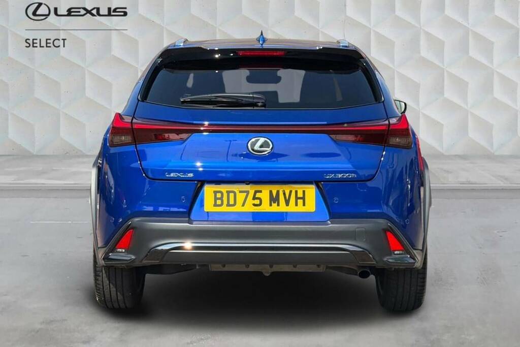 Lexus UX 300E 72.8Kwh Premium Plus Grey #26