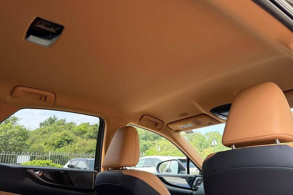 Lexus NX 350H 197 Premium E-cvt LL Pro  #19