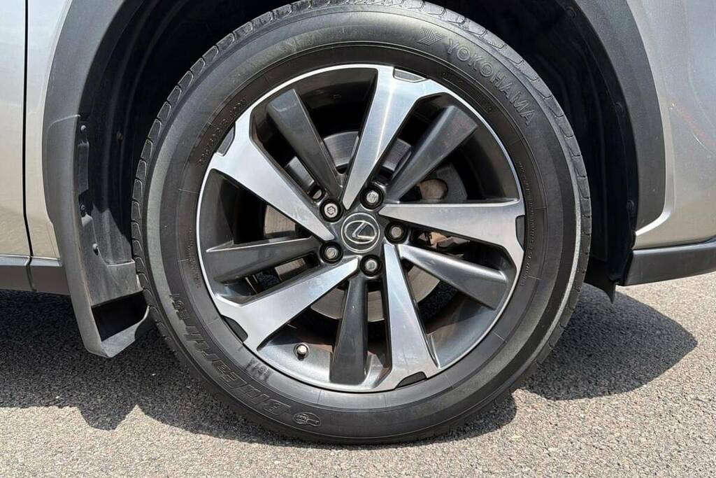 Lexus NX 2.5 300H E-cvt 4Wd Euro 6 Ss Grey #24