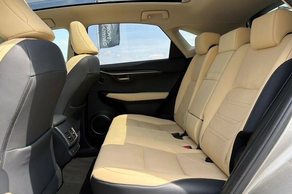 Lexus NX 2.5 300H E-cvt 4Wd Euro 6 Ss Grey #15