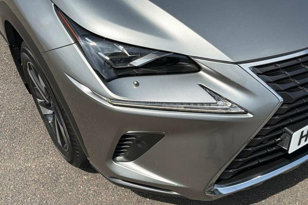 Lexus NX 2.5 300H E-cvt 4Wd Euro 6 Ss Grey #19