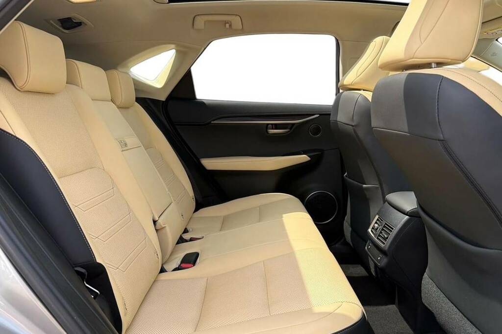 Lexus NX 2.5 300H E-cvt 4Wd Euro 6 Ss Grey #8