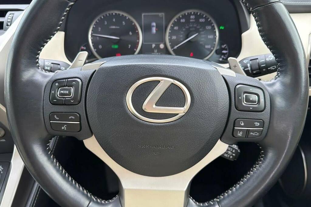 Lexus NX 2.5 300H E-cvt 4Wd Euro 6 Ss Grey #10
