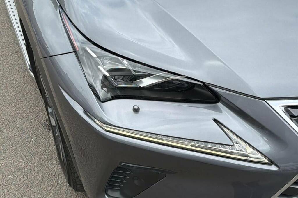 Lexus NX 2.5 300H E-cvt 4Wd Euro 6 Ss Grey #20