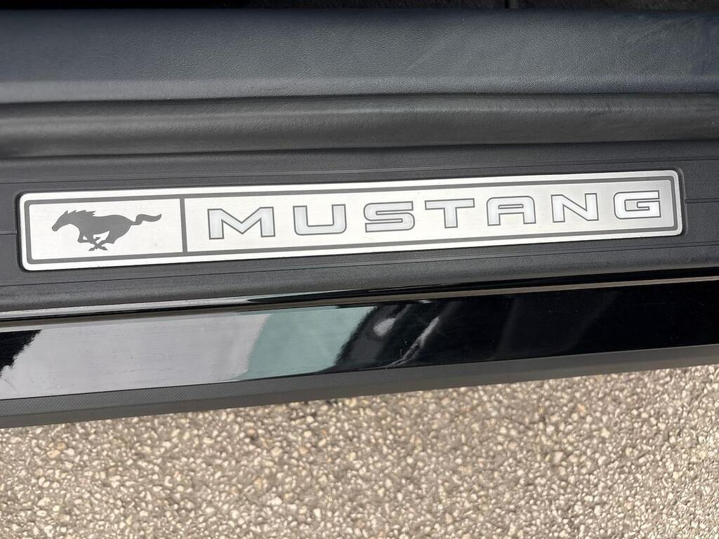 Ford Mustang 5.0 V8 Dark Horse Coupe Tremec Euro 6 Grey #33