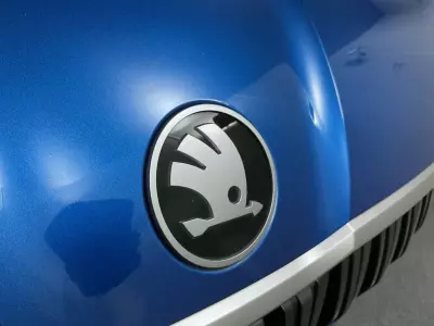 Skoda Kodiaq 2.0 Tdi 150Ps Se 5 Seats Dsg Suv Blue #30