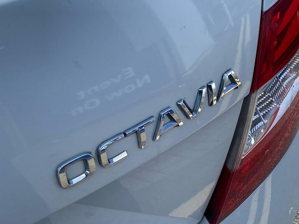 Skoda Octavia Brown #21