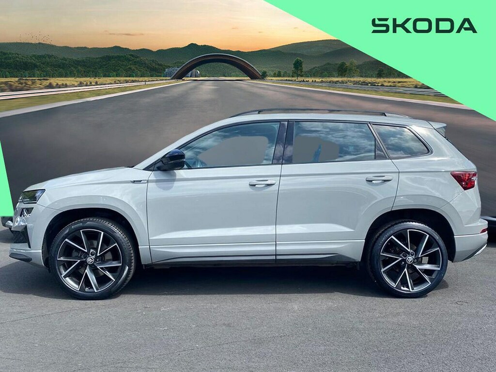 Skoda Karoq Se L Grey #19