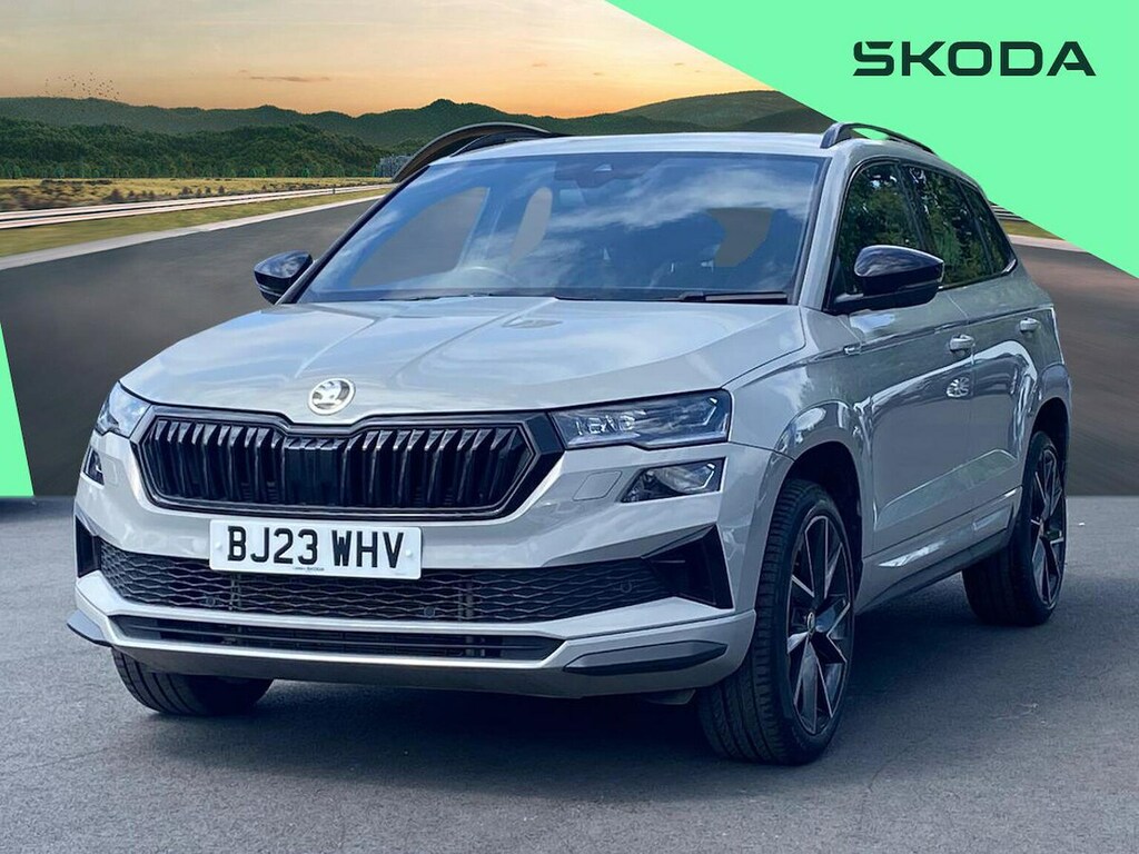 Skoda Karoq Se L Grey #20