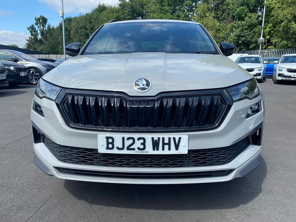 Skoda Karoq Se L Grey #39