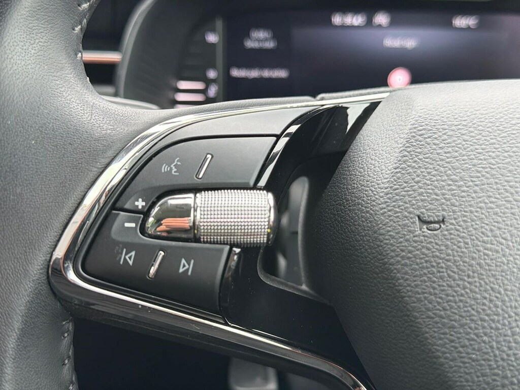 Skoda Kamiq Suv Blue #27