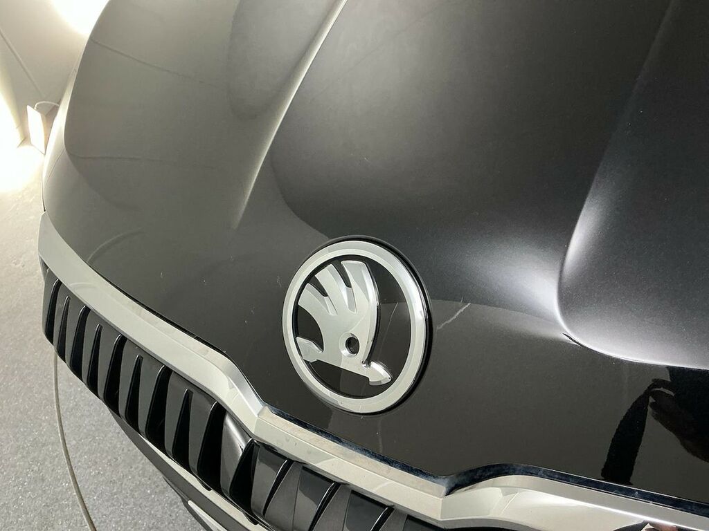 Skoda Karoq Se L Grey #32