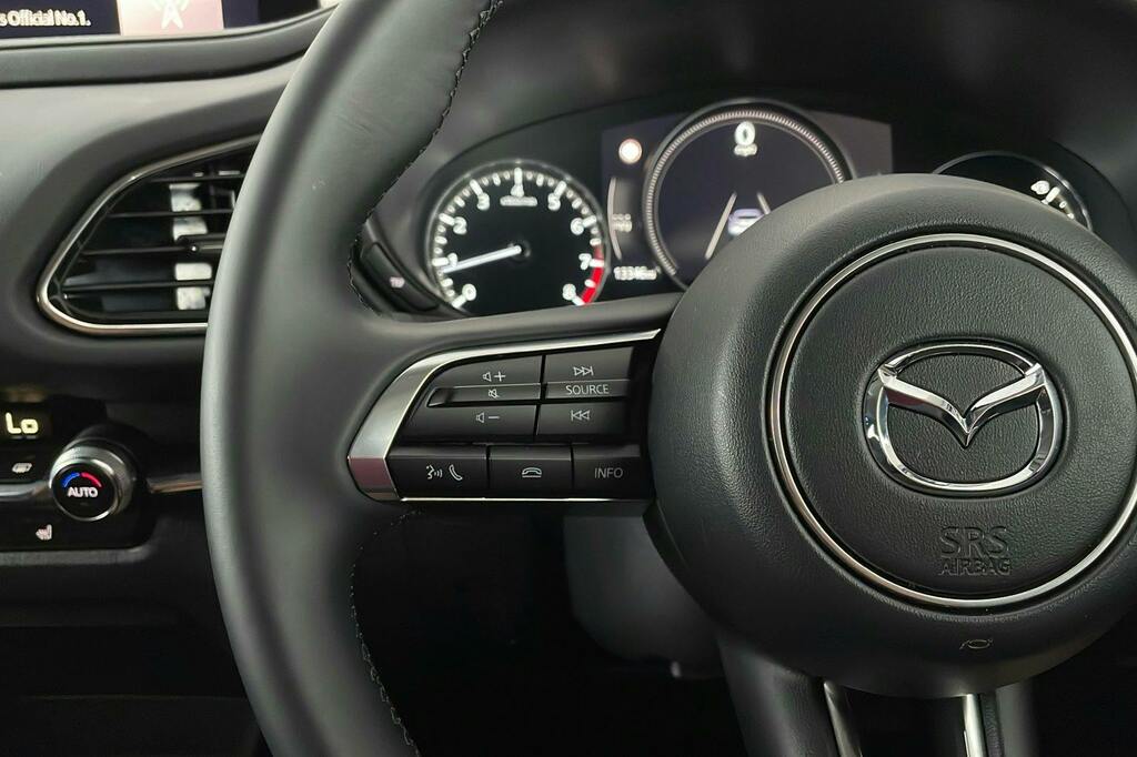 Mazda CX-30 2.0 E-skyactiv X Mhev Gt Sport Tech Grey #14