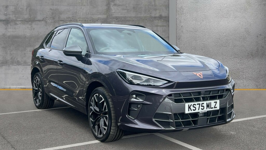 Cupra Terramar Terramar 2.0 Tsi 265 Vz2 Dsg 4Drive Purple