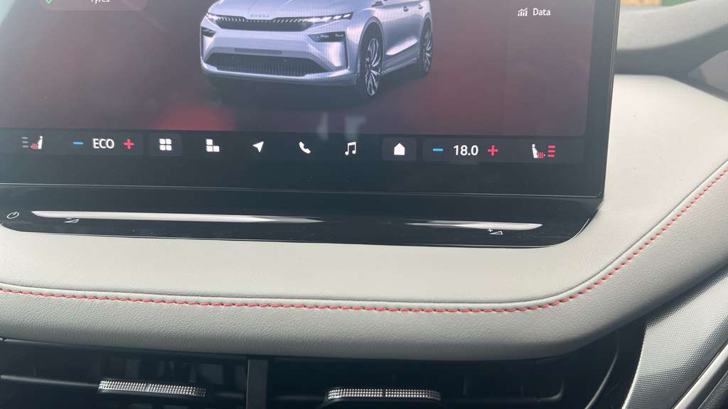 Skoda ENYAQ Sportline Grey #21