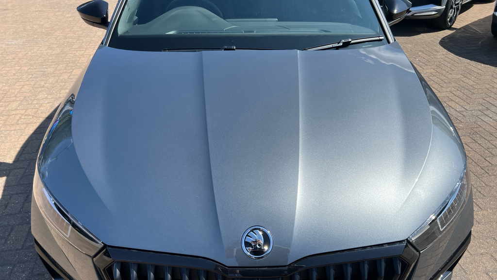 Skoda Scala Monte Carlo Edition Grey #17