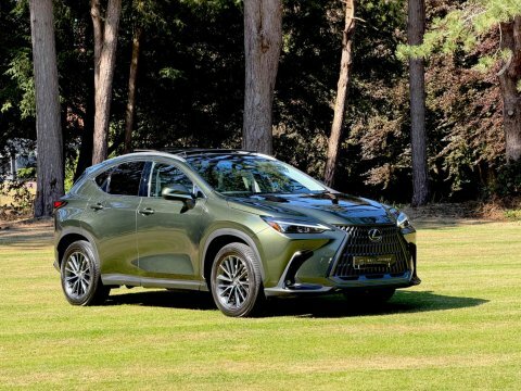 Lexus NX Suv Green