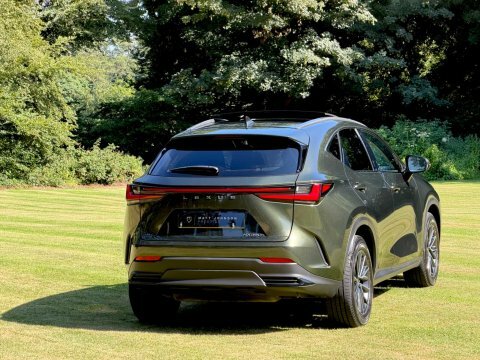 Lexus NX Suv Green #5