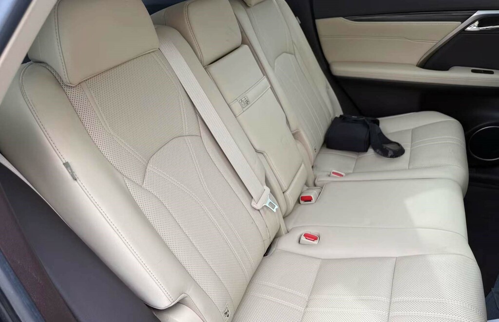 Lexus RX Suv Blue #6