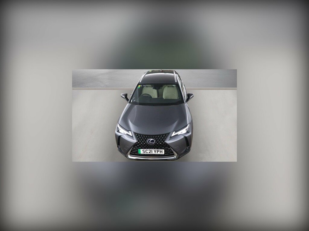 Lexus UX 300E 54.3Kwh Premium Plus Suv 2 Grey