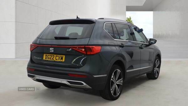 Seat Tarraco 2.0 Tdi Xcellence Lux Dsg Green #6