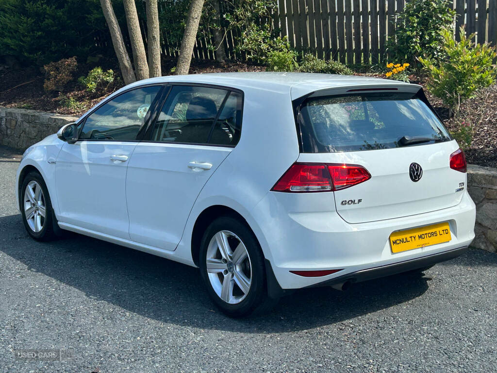 Volkswagen Golf 1.6 Tdi 110 Bluemotion VE65VRW White #6