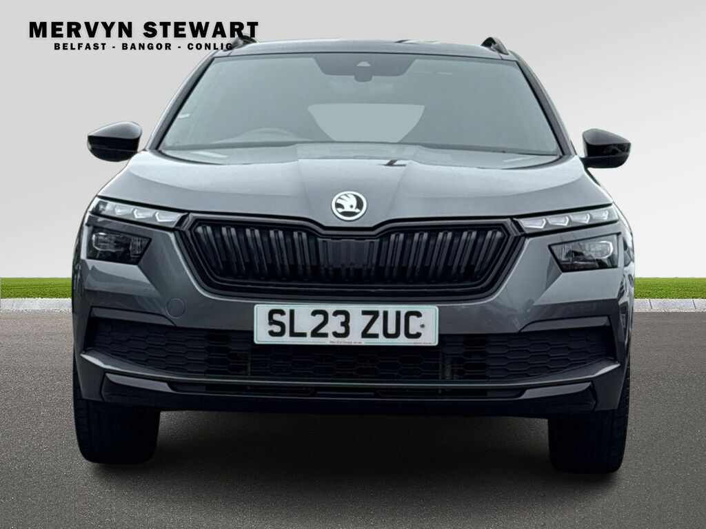Skoda Kamiq Monte Carlo Tsi Grey #3