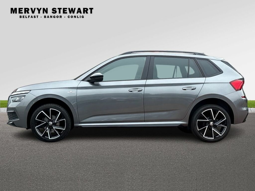 Skoda Kamiq Monte Carlo Tsi Grey #5