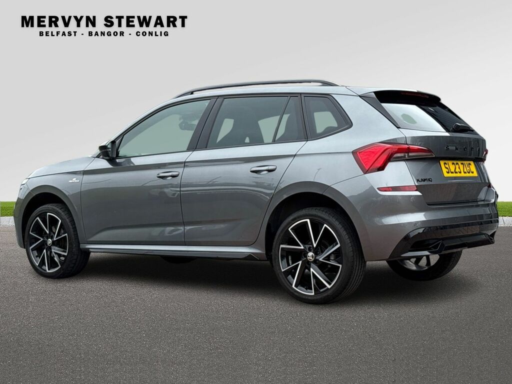 Skoda Kamiq Monte Carlo Tsi Grey #6