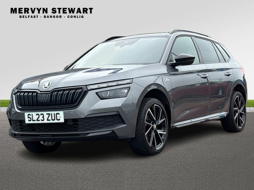 Skoda Kamiq Monte Carlo Tsi Grey #4