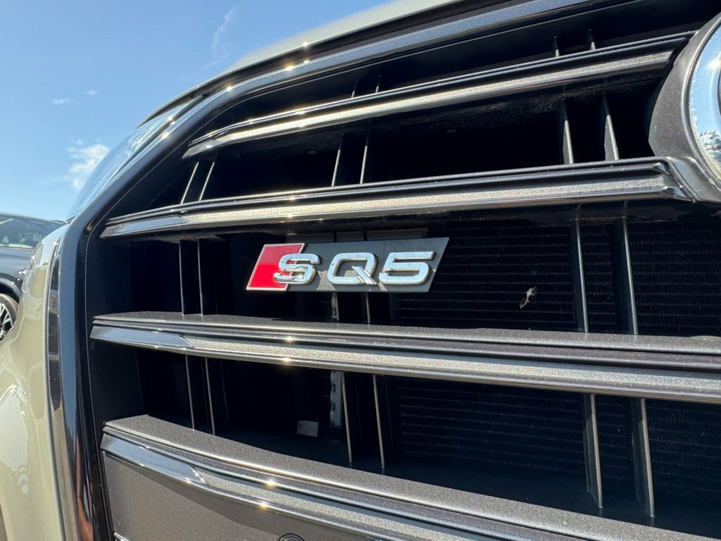 Audi SQ5 Tdi 347 Ps Tiptronic Blue #15