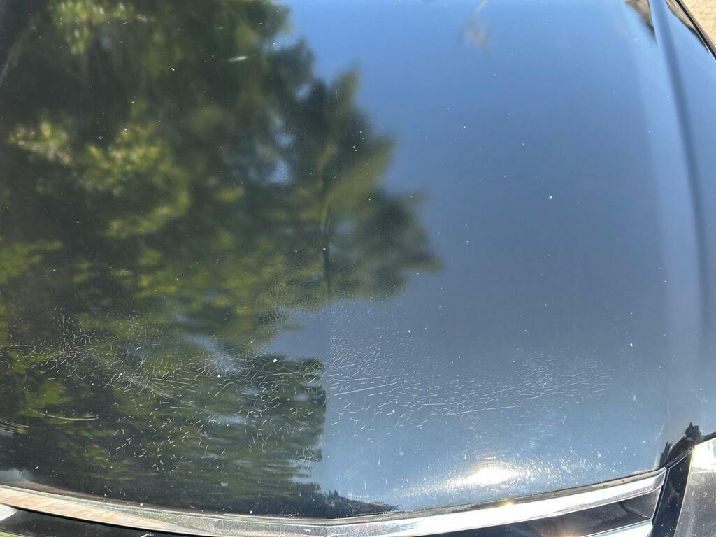 Honda Accord Ex Blue #27