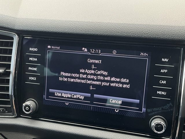 Skoda Kodiaq Estate Grey #36