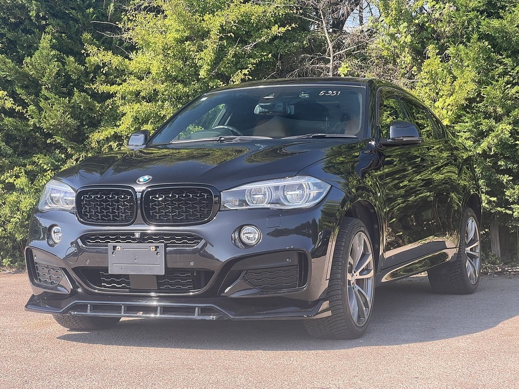 BMW X6 Xdrive35i   #3