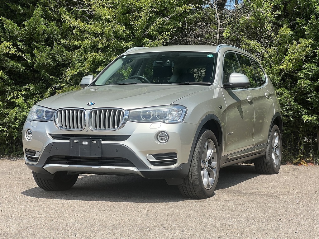 BMW X3 Xdrive20d Xline Beige #3