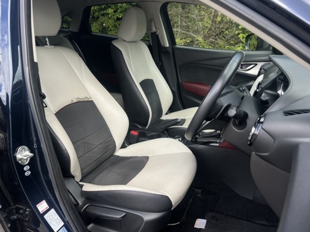 Mazda CX-3  Silver #14