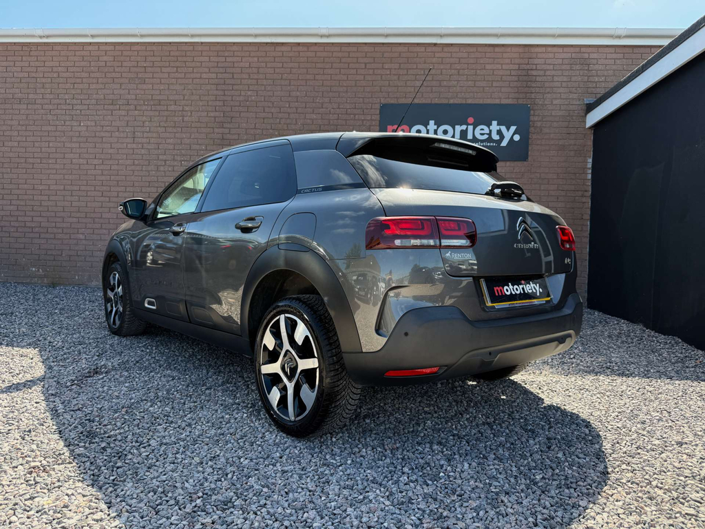 Citroen C4 Cactus Flair Puretech Ss #2