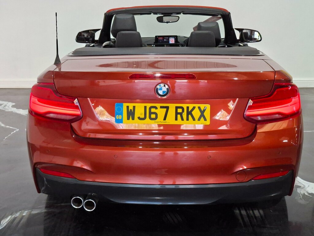 BMW 2 Series 2.0 220D M Sport Convertible Euro Orange #5