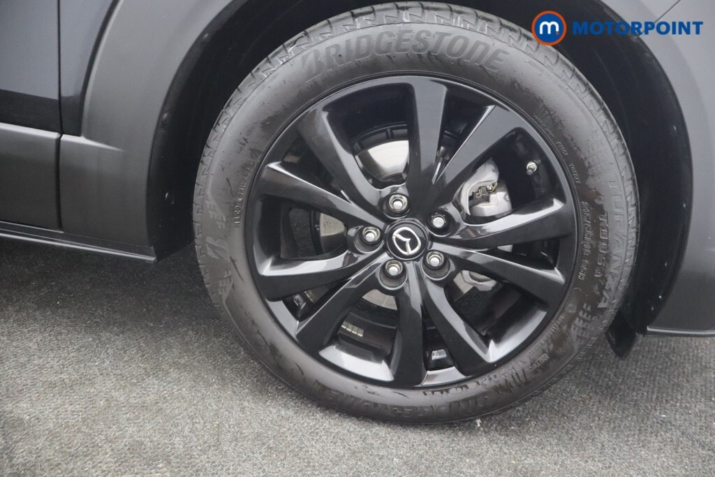 Mazda CX-30 2.5 E-skyactiv G Mhev Homura Suv  #29