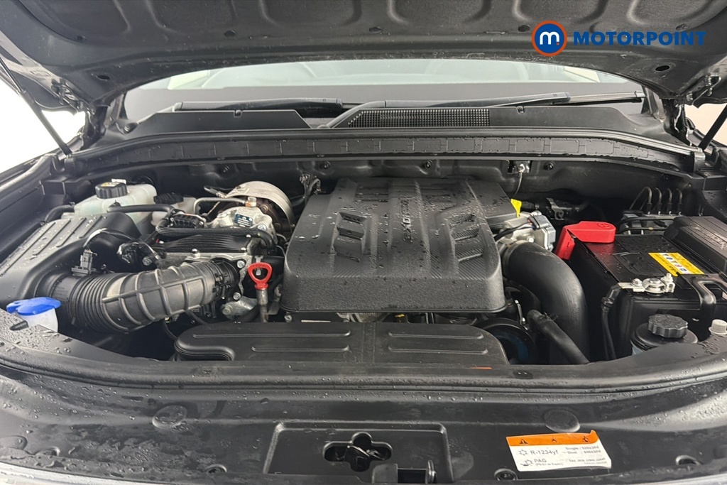 SsangYong Rexton Diesel White #48