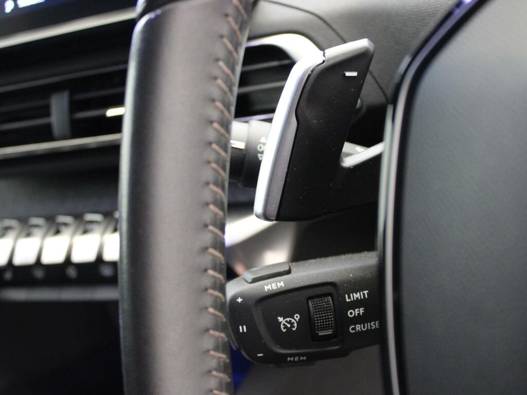 Peugeot 3008 73Kwh Gt  #31