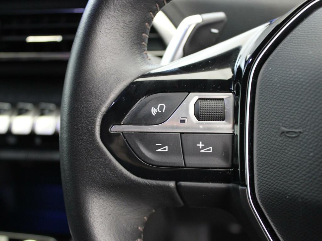 Peugeot 3008 73Kwh Gt  #29