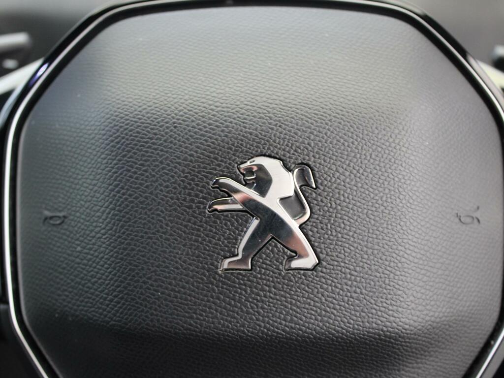 Peugeot 3008 73Kwh Gt  #28