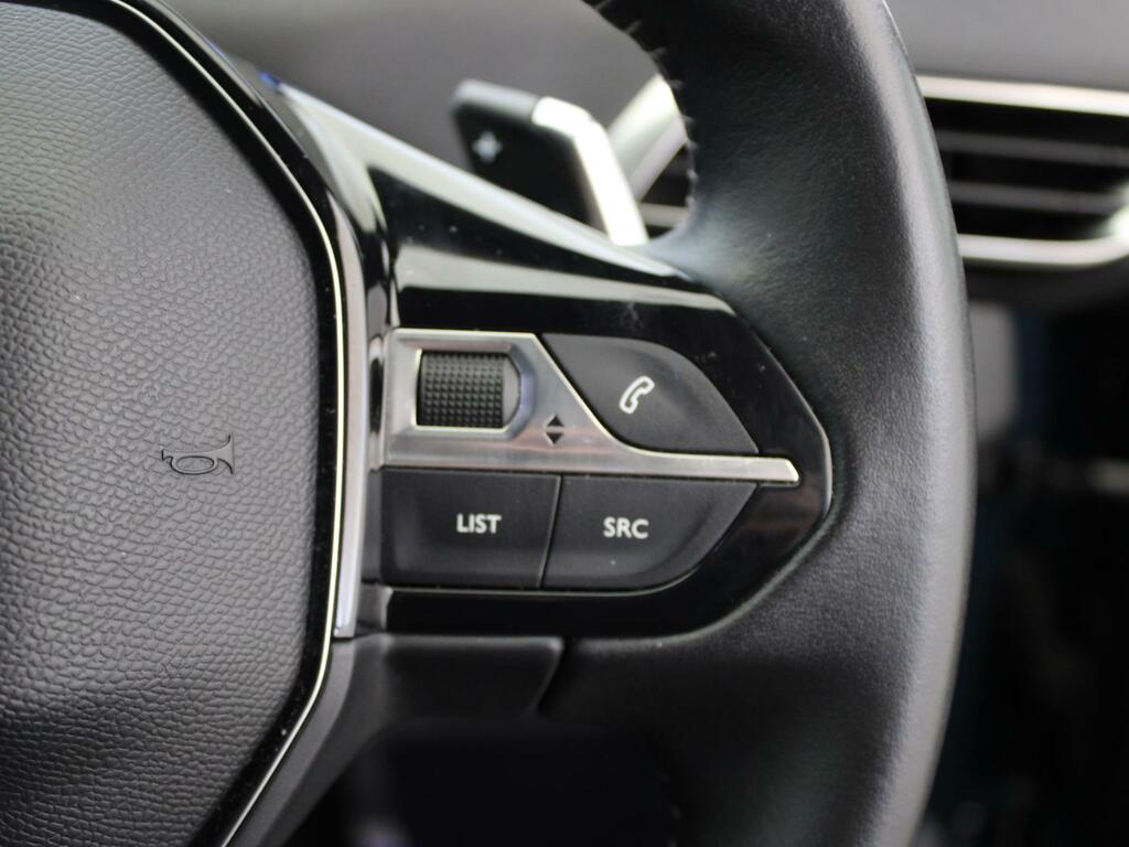 Peugeot 3008 73Kwh Gt  #30