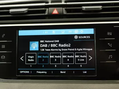 Citroen Grand C4 SpaceTourer 1.5 Bluehdi Flair Plus Eat8 Grey #18