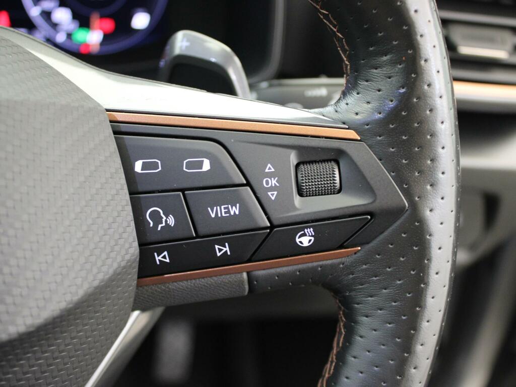 Cupra Formentor 2.0 Tsi 310 Vz2 Dsg 4Drive Grey #36