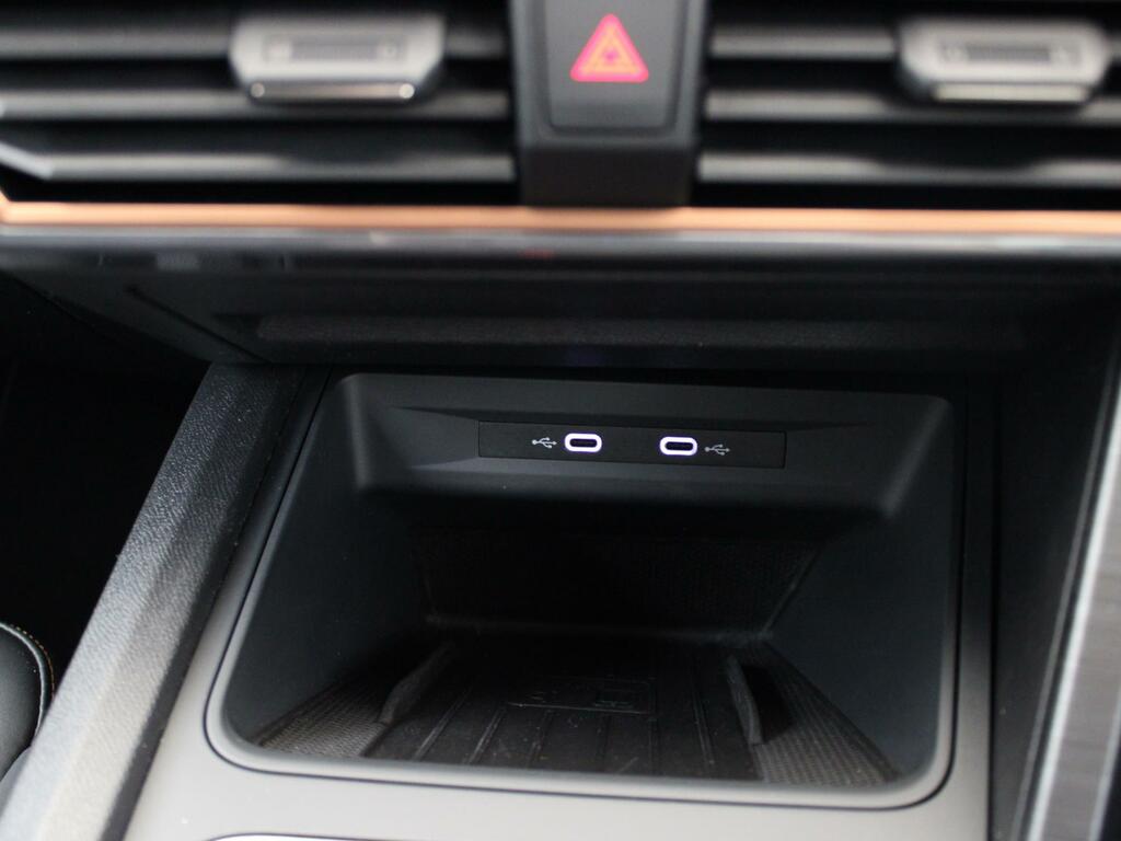 Cupra Formentor 2.0 Tsi 310 Vz2 Dsg 4Drive Grey #31