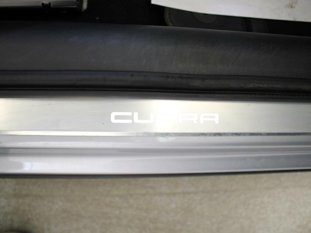 Cupra Formentor 2.0 Tsi 310 Vz2 Dsg 4Drive Grey #44